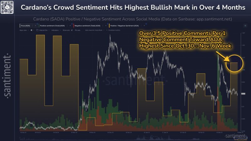 Social Media Loves Cardano, But The Chart Signals Caution