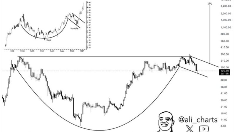 Solana Forms Classic Cup-And-Handle Pattern – Analyst Predicts A Breakout To $3,800