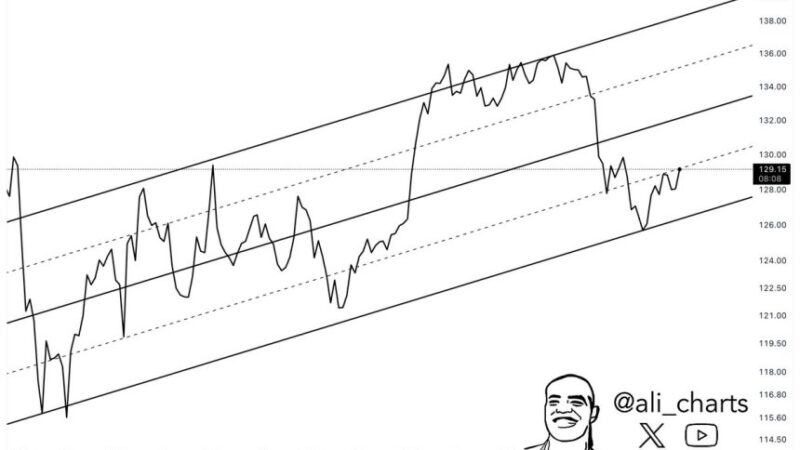 Solana Holds Bullish Pattern – Expert Sets $140 Target