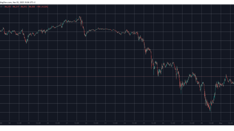 Stellar (XLM) Explodes by 30% in 2 Days, Bitcoin (BTC) Stable at $86K (Weekend Watch)