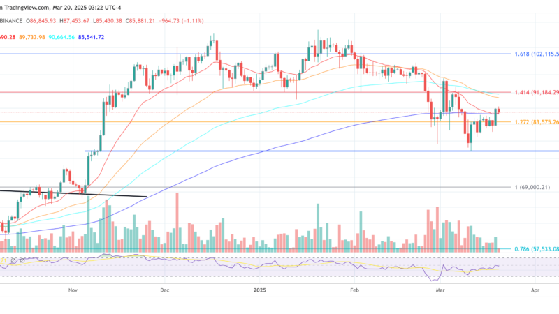 The Fed Blinked — The Bitcoin Bull Run Return Is Now Inevitable