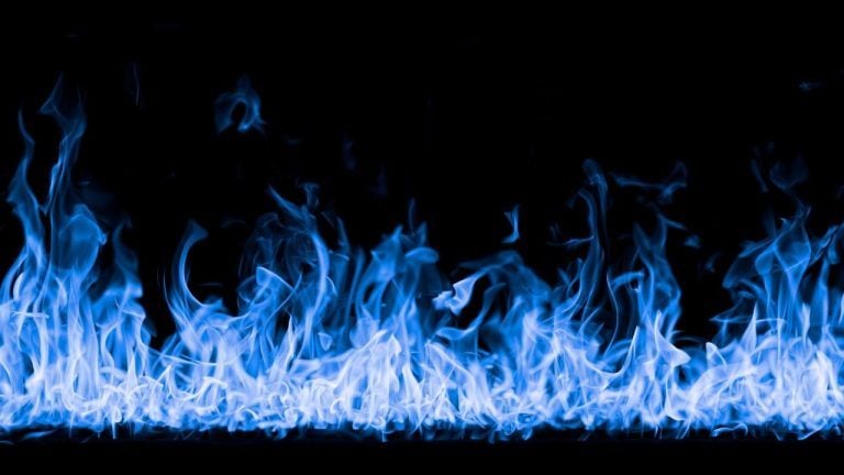 Venice Burns One Third of Total Token Supply