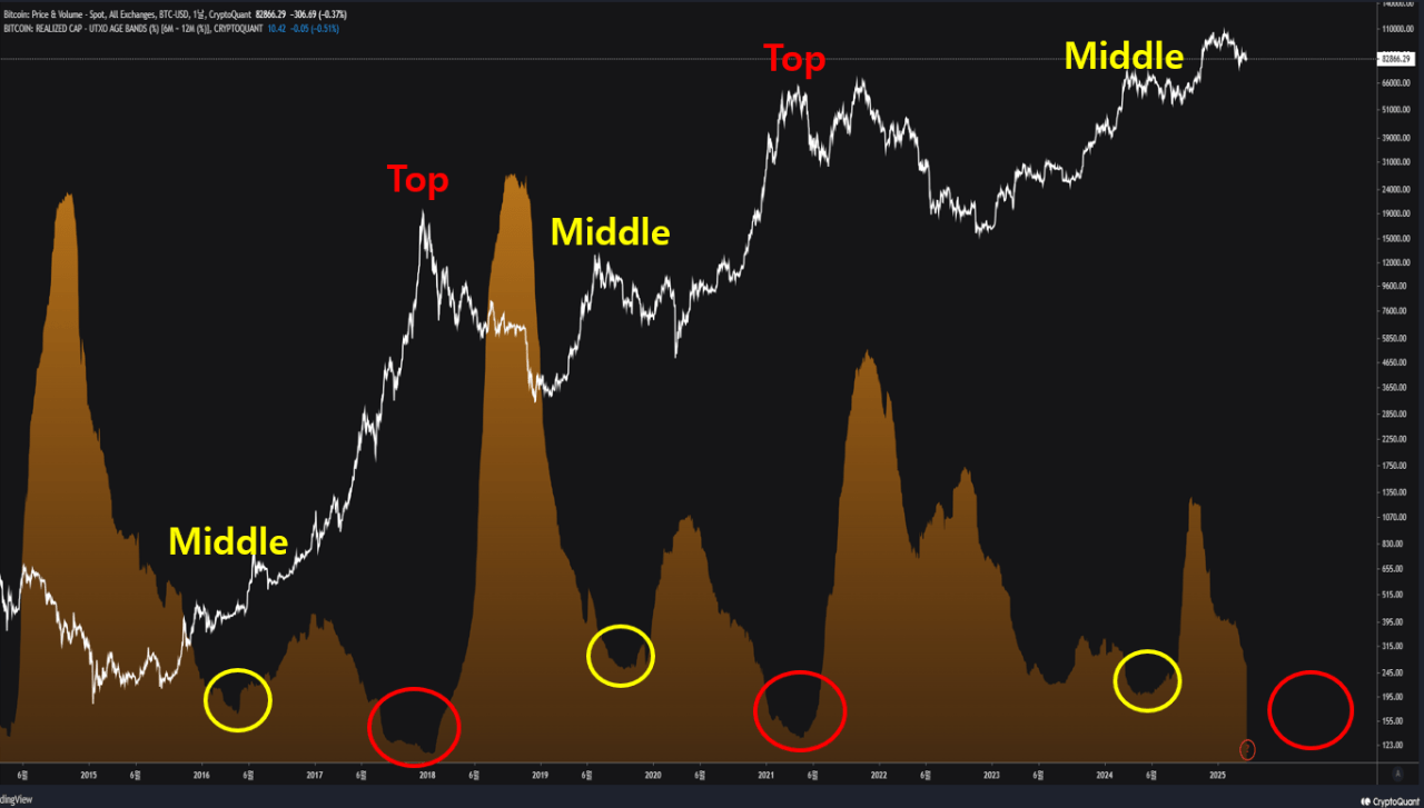 Analyst Uncovers Clues—Is Bitcoin’s Historic Bull Cycle Finally Topping Out?