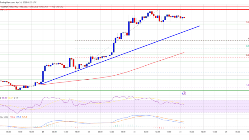 Bitcoin Price Stabilizes After Surge — Is It Gearing Up for Another Leg Up?