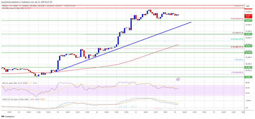Bitcoin Price Stabilizes After Surge — Is It Gearing Up for Another Leg Up?