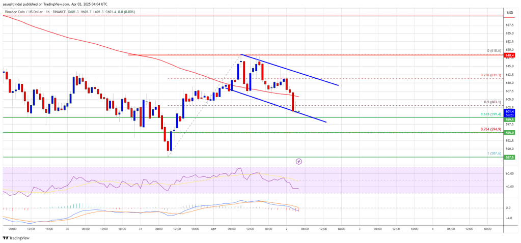 BNB Price Faces More Downside—Can Bulls Step In?