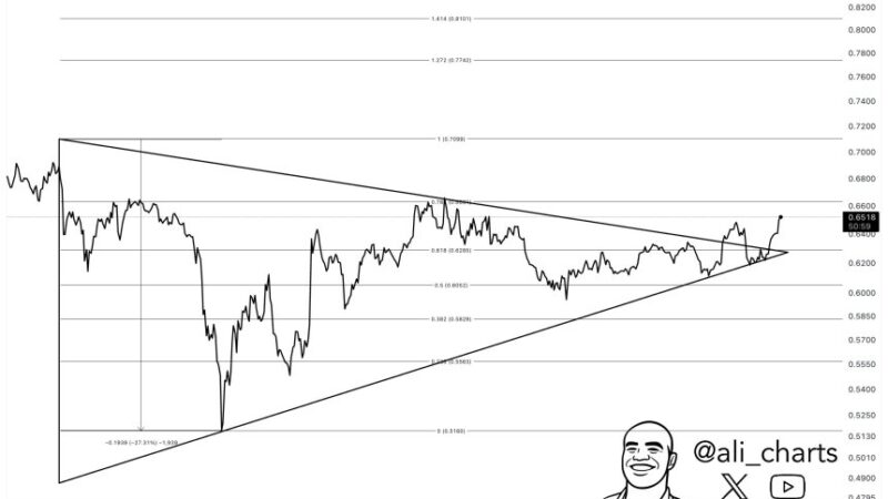 Cardano Breakout Eyes $0.80 Resistance – Is ADA Repeating Its ATH Playbook?