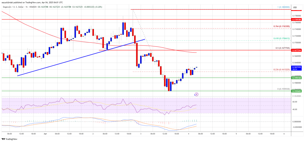 Dogecoin (DOGE) Bleeds Further—Fresh Weekly Lows Test Investor Patience