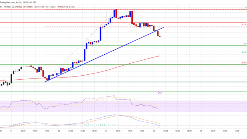 Dogecoin (DOGE) Pulls Back — Is A Bounce from $0.1650 Support on the Horizon?