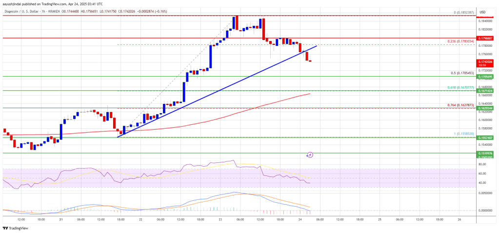 Dogecoin (DOGE) Pulls Back — Is A Bounce from $0.1650 Support on the Horizon?