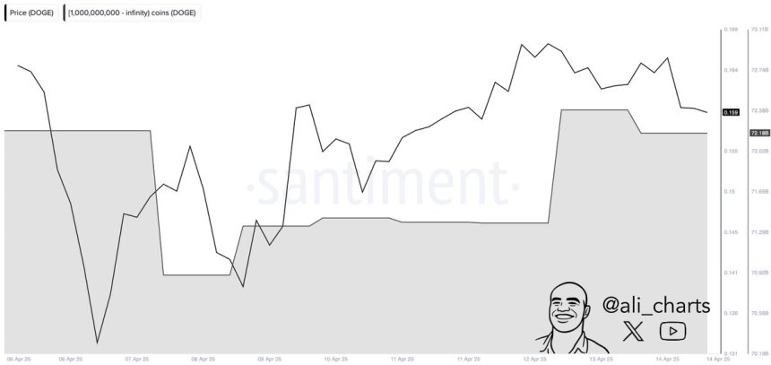 Dogecoin Whales Buy 800 Million DOGE in 48 Hours – Smart Money Or Bull Trap?