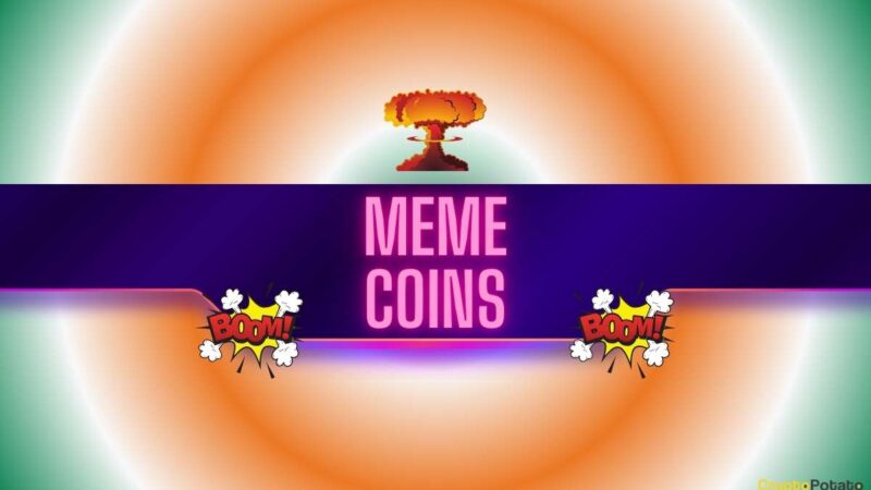 Meme Coins on Fire: TURBO, WIF, BONK, and PENGU Lead the Pack