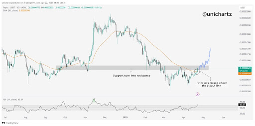 PEPE Shows Strength With A Firm Grip Above This Key Support Zone