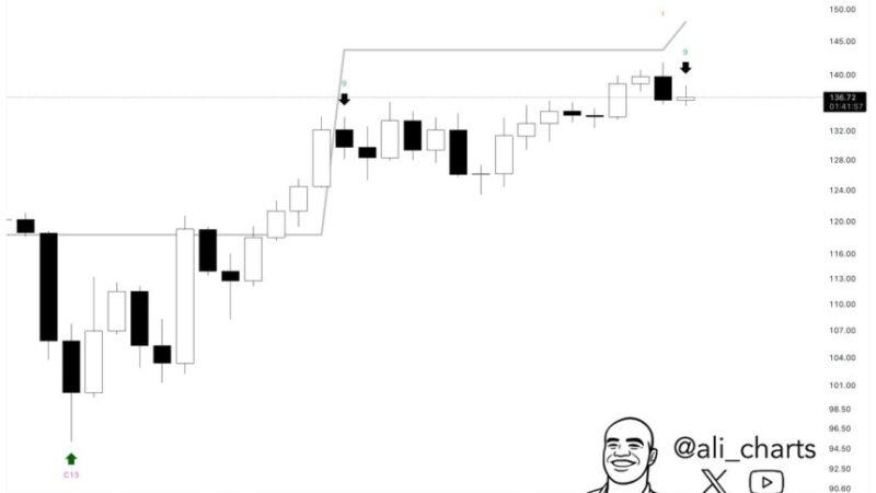 Solana Short-Term Indicator Signals Potential Risk – Reversal Or Pause?