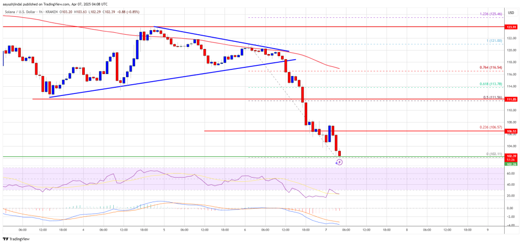 Solana (SOL) Freefall—Can It Hold Above The $100 Danger Zone?