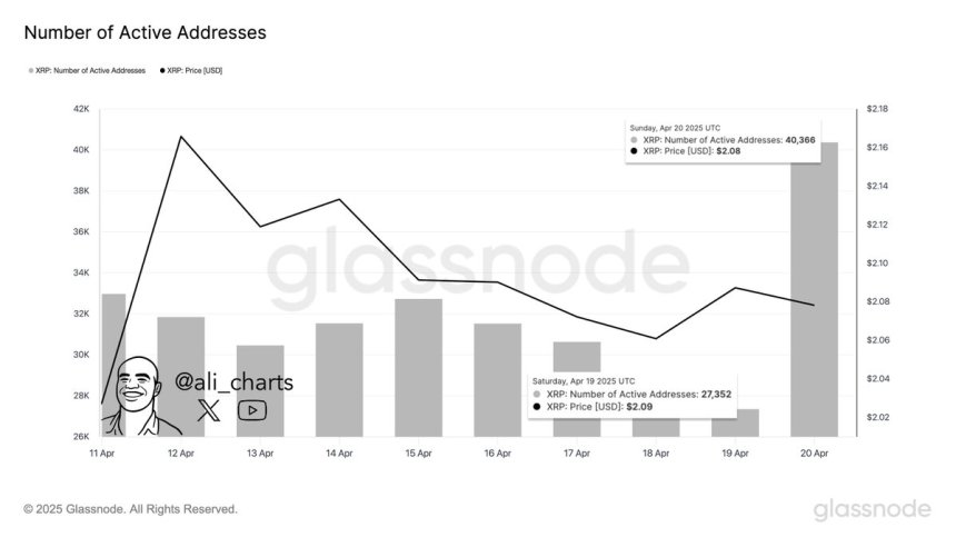 XRP Network Activity Jumps 67% In 24 Hours – Big Move Ahead?