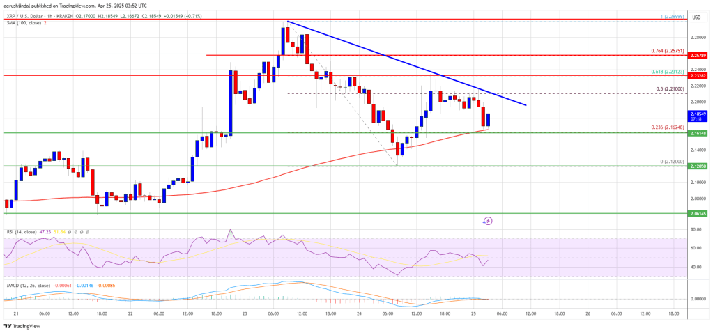 XRP Price Hovers at Support — Can The 100 SMA Spark Bullish Bounce?