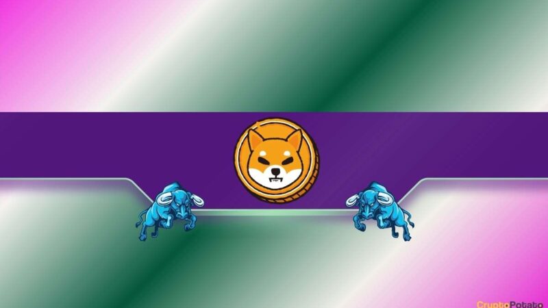 3 Reasons Why Shiba Inu (SHIB) Could be on the Verge of a Price Rally