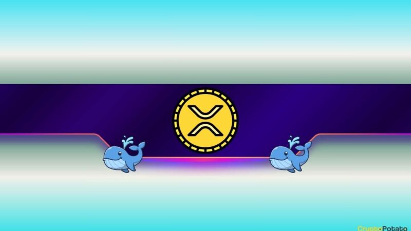 900,000,000 XRP Bought in a Month: What Do Ripple Whales Know?