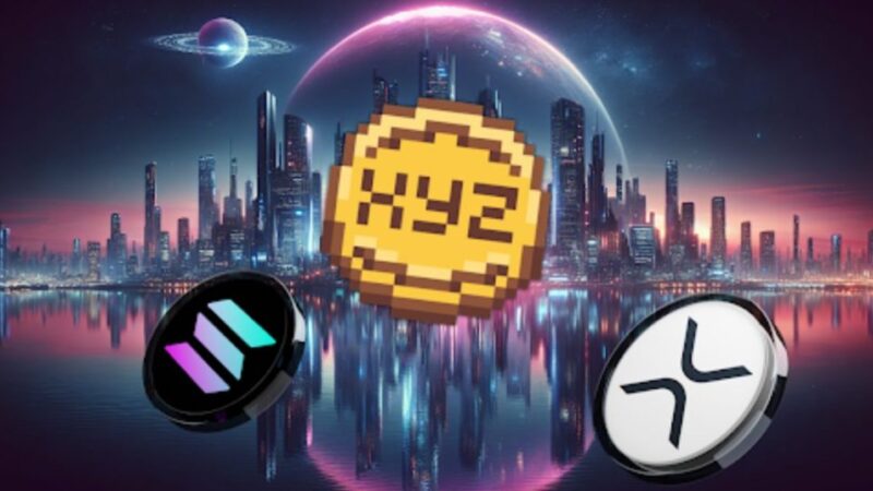 As Whales Ditch Solana and XRP, This Under-the-Radar Altcoin Emerges as the Top Wallet Accumulation Trend