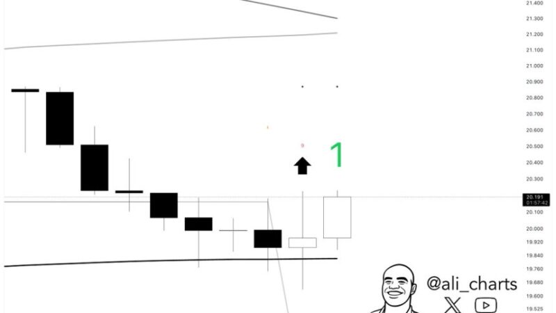 Avalanche Bounces Off Key Price Level: Top Indicator Flashes A Buy Signal