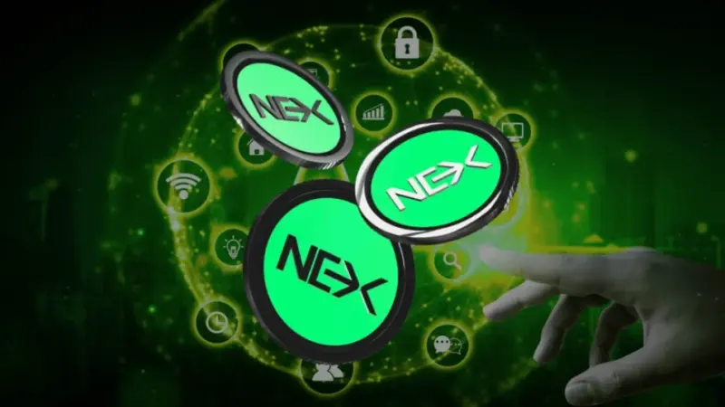 Best Crypto ICO 2025: Nexchain Leads Along With BTC Bull Token