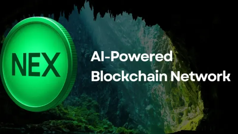 Best Presale Crypto List: Nexchain, Solaxy & BTC Bull Token Stand Out