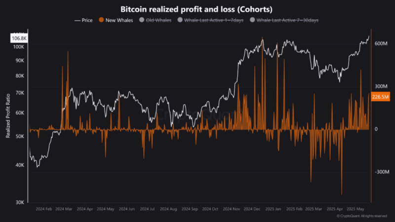 Bitcoin ATH Met With Mixed Whale Reactions – What’s The Market Signal?