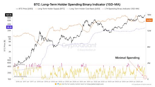 Bitcoin Diamond Hands Are Buying Again, Here’s Why It’s Bullish For The Market