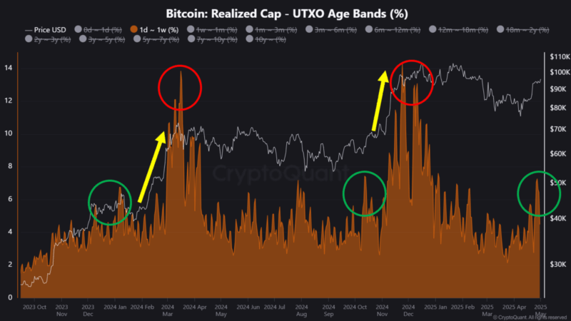 Bitcoin Flashing Pre-Rally Signals Seen Before Major 2024 Breakouts, Analyst Says
