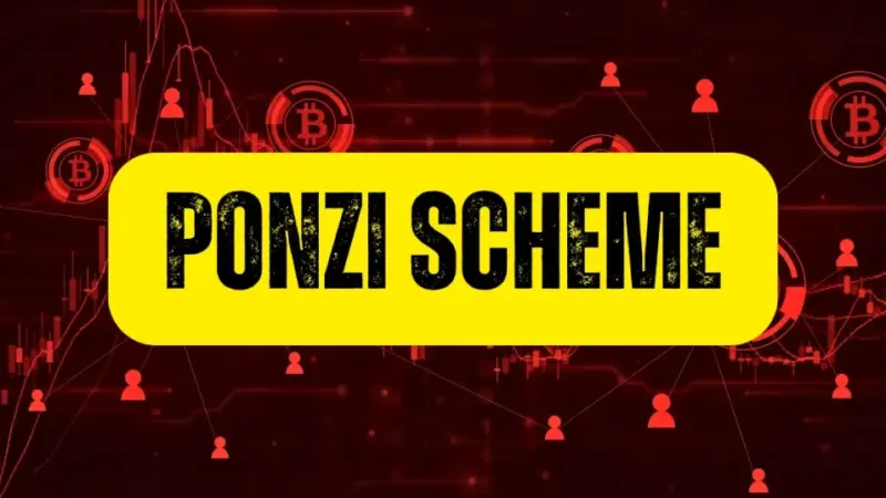 Bitcoin Might Be a Ponzi Scheme? Ex-Governor Blames Elon Musk & Trump for Big Lies