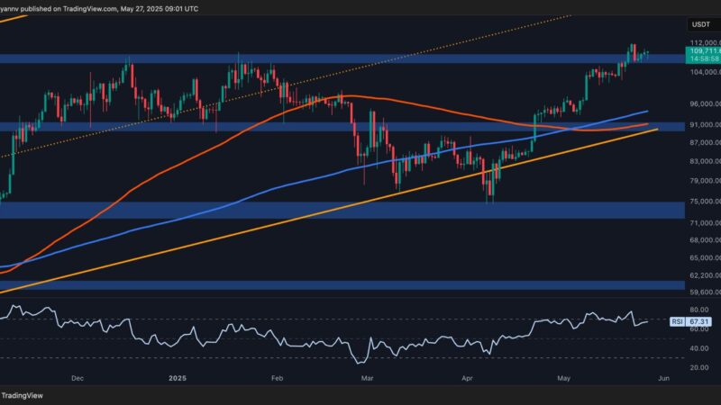 Bitcoin Price Analysis: is BTC About to Challenge $120K Next?