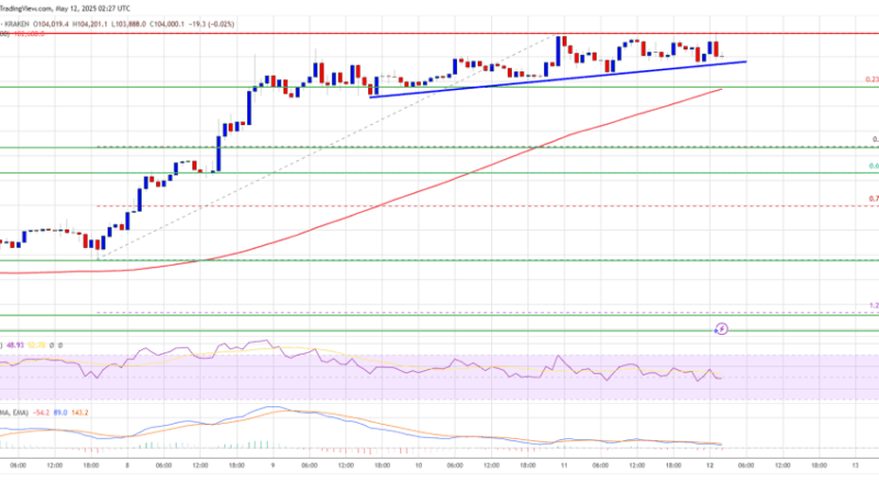 Bitcoin Price Breakout Brewing: Is a Massive Rally Just Getting Started?