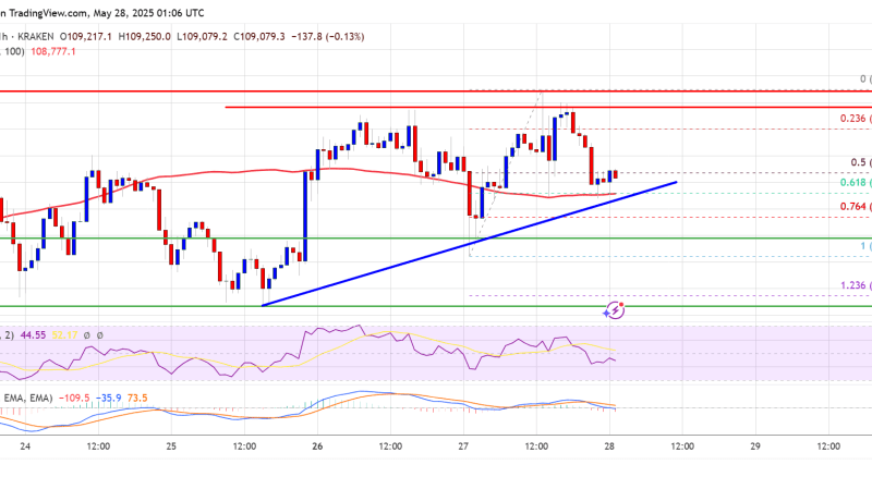Bitcoin Price Consolidates Gains — Is a Breakout Brewing in the Range?