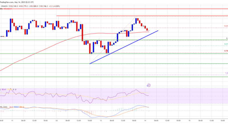 Bitcoin Price In Pause Mode While ETH Powers Higher — What’s Next?