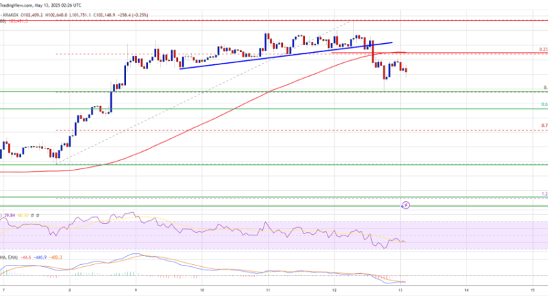 Bitcoin Price Pulls Back to Support: Opportunity or Warning Sign?