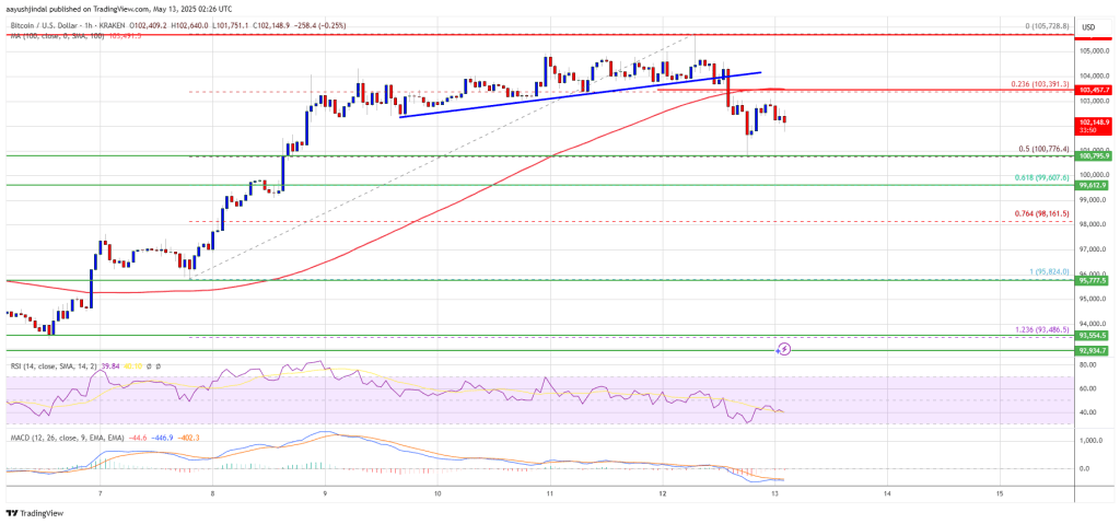 Bitcoin Price Pulls Back to Support: Opportunity or Warning Sign?