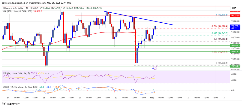Bitcoin Price Rally Incoming? Bulls Target $95K and Beyond