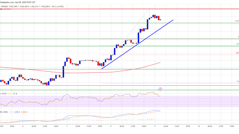 Bitcoin Price Surges Past $100K—Bull Market Officially Back?