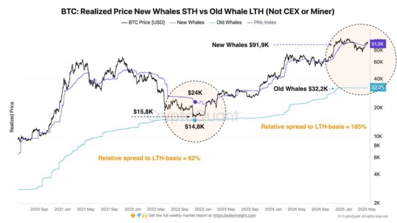 Bitcoin Whale Entry Prices Diverge Sharply – Confidence Builds At Higher Levels