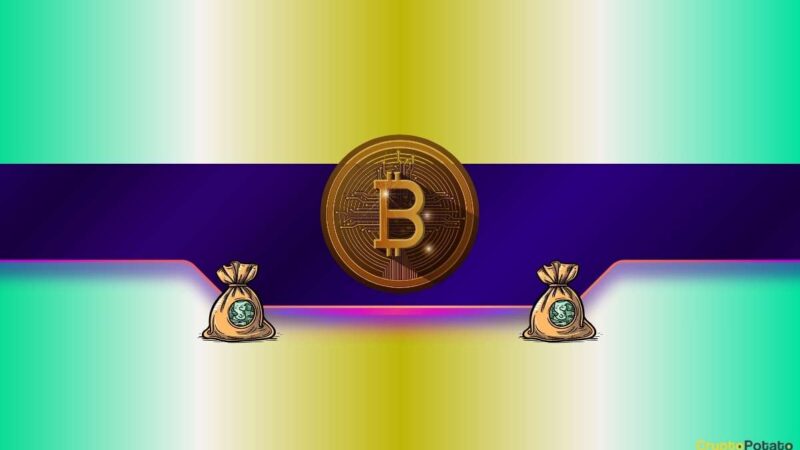 Bitcoin’s (BTC) Perfect Score: Time to Celebrate or Be Cautious?