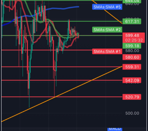 BNB Bulls Target $644 As Classic Chart Formation Emerges