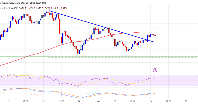 BNB Price Eyes Comeback: Can It Regain Momentum and Rally Higher?