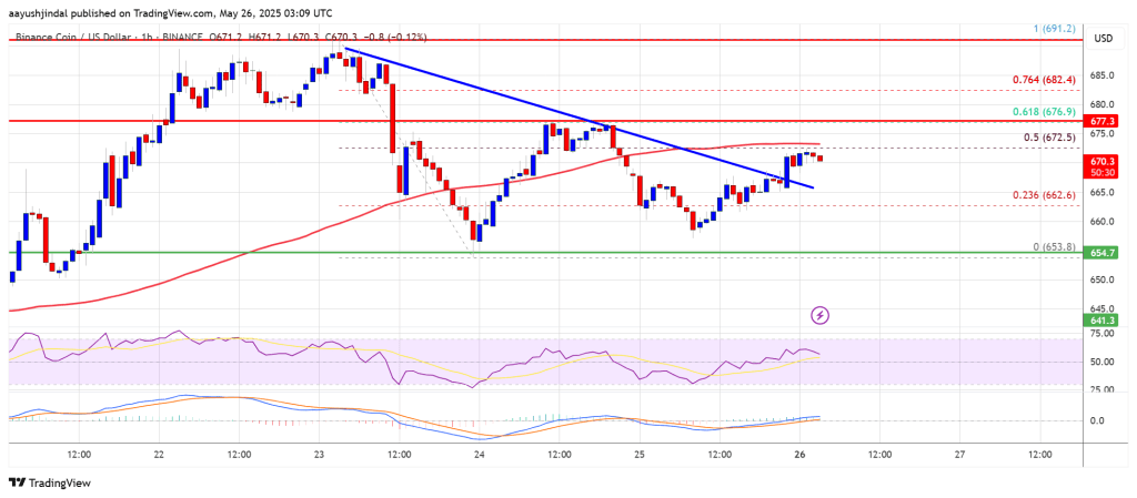 BNB Price Eyes Comeback: Can It Regain Momentum and Rally Higher?