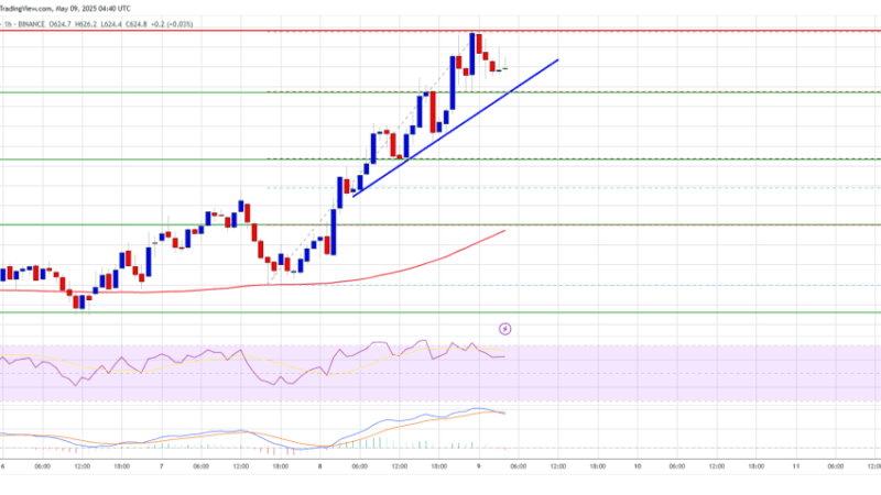 BNB Price Targets $650 Amid Renewed Market Optimism