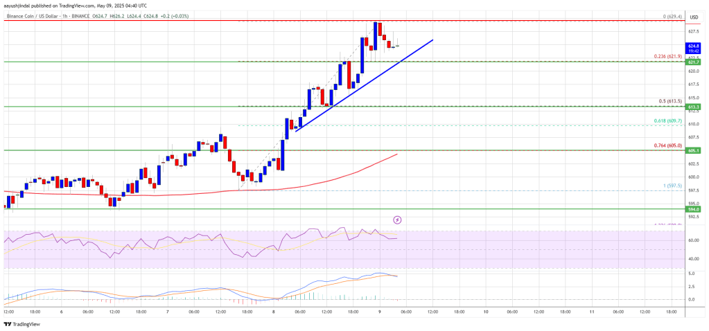 BNB Price Targets $650 Amid Renewed Market Optimism