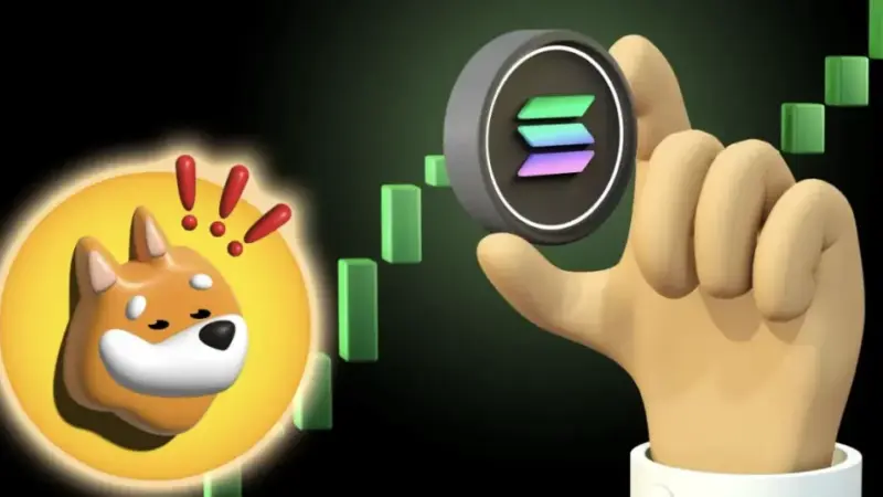 Bonk Meme and DeFi Development Corp Announces Strategic Partnership to Jointly Run a Solana (SOL) Validator
