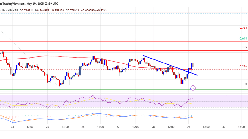 Cardano (ADA) Capped Below Resistance — Will Buyers Regain Control?