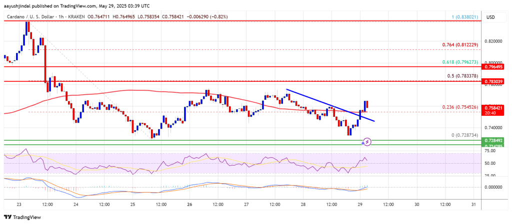 Cardano (ADA) Capped Below Resistance — Will Buyers Regain Control?