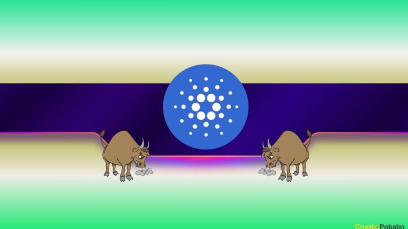 Cardano (ADA) Exploded to New ATH the Last Time This Happened: Details